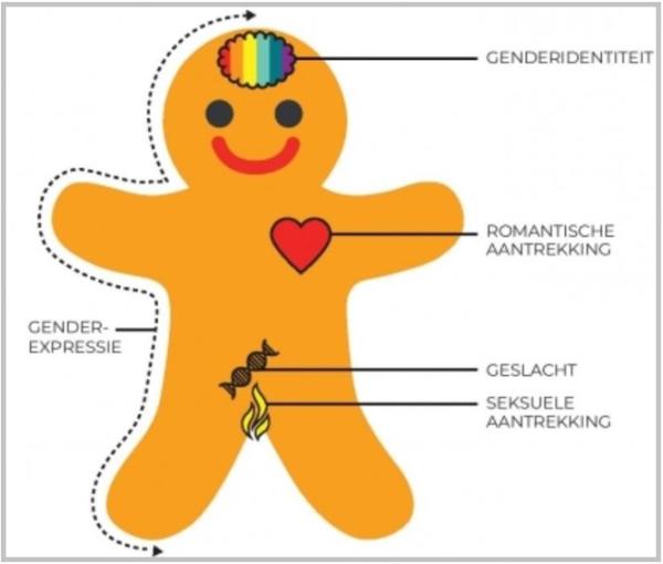 De genderkoek van Çavaria is een visuele tool om het begrip gender helder uit te leggen. Krijg een overzicht van alle aspecten die mee iemands gender bepalen.